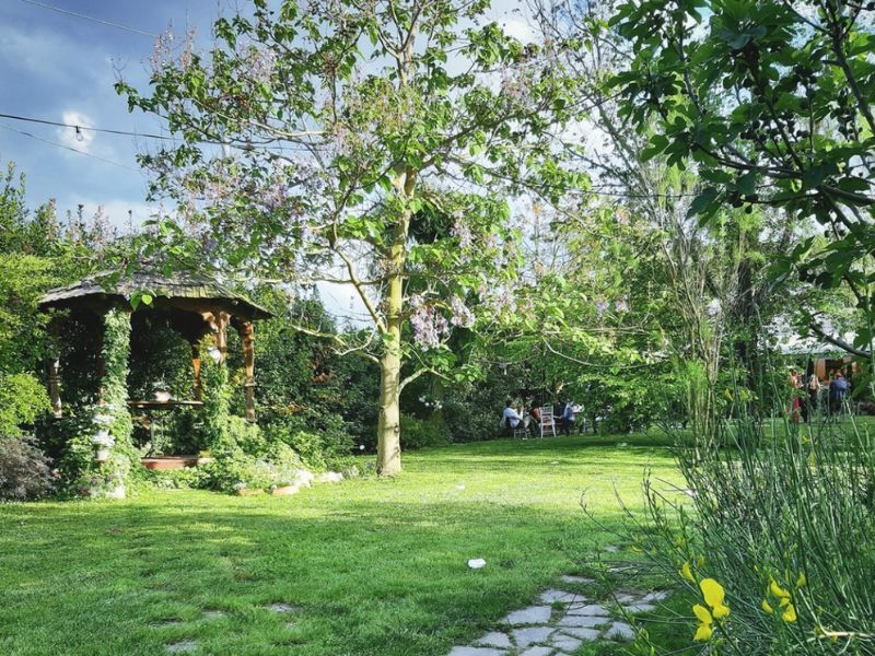 Giardino pet-friendly